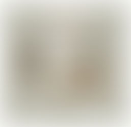 Momence Innovative Wedding Invitations