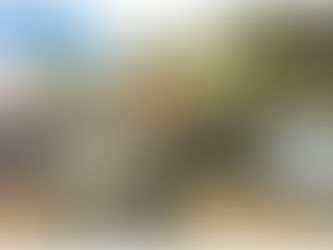 Why a Brewery Wedding in Buffalo Is the Perfect Reception Choice