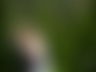 Rochester Wedding First Looks