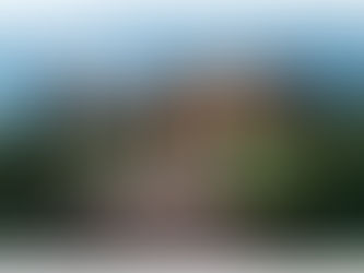 The Timberlodge and Sterling Premier Wedding Venues