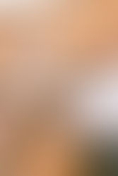 Spectacular Wedding Reception Cocktail and Grazing Stations!