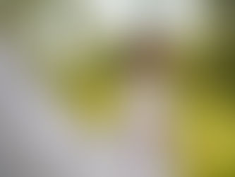 Laura Amaya Beauty Effortless Bridal Beauty