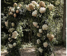 Beyond the Barnyard Flower Co