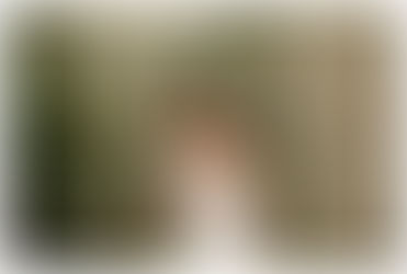 Weddings at the Buffalo Botanical Gardens