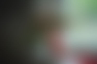 East Aurora, NY Wedding Inspirations: An Artistic Wedding Photo Shoot