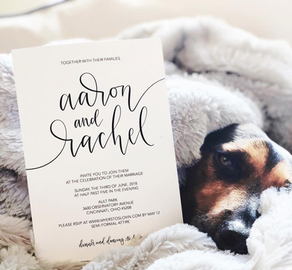 Becca From Lemon Ink Design Introduces Herself to Buffalo Couples