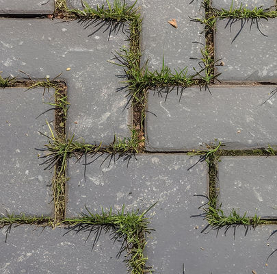 background-gray-small-paving-stones-with-sprouted-grass-stones-top-view-path.jpg