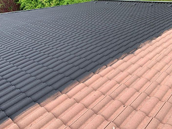 WhatsApp Image 2024-02-27 at 19.34.09 (1).jpeg