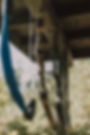 pexels-rdne-6655481.jpg