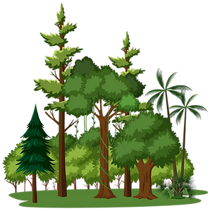 isolated-tree-white.png