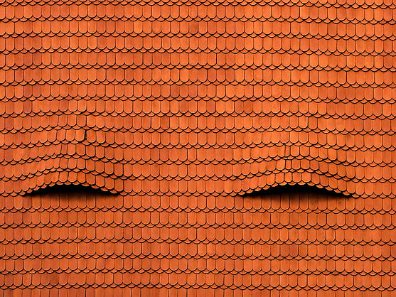 cool-background-old-red-roof-with-interesting-textures.jpg
