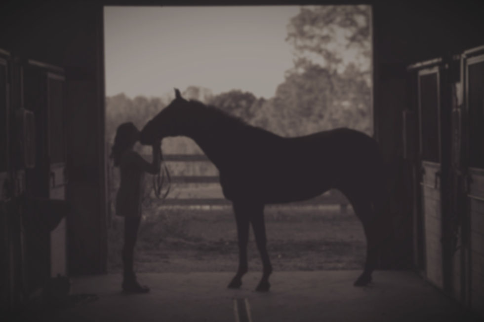 kenny-webster-QrJc1RVI7uM-unsplash_edite