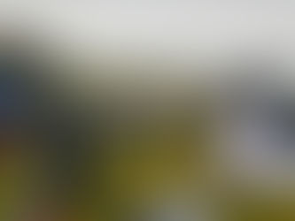 St Patrick's Day 2023, a Sad Day for Ireland