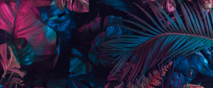 Untitled-11.png
