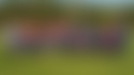 American Amputee Soccer Association Shines at 4th Annual ADAPTandTHRIVE Invitational