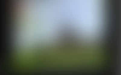 Criação de abelhas rainhas no Alentejo