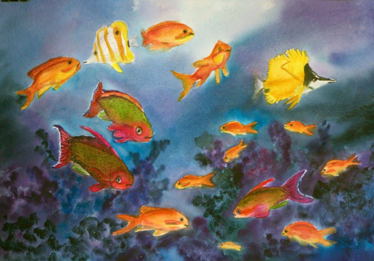 Aquarium 2 - Order #AF18