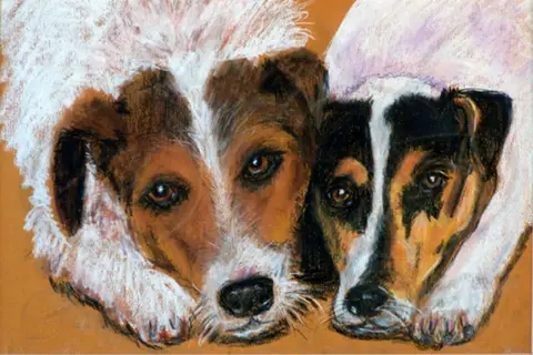 Jack Russell Terriers - Order #AF01
