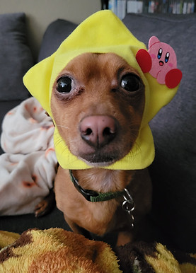 20230212_082739.jpg