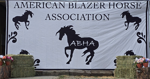 new ABHA banner 2025.jpg