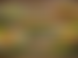 vegan food singapore