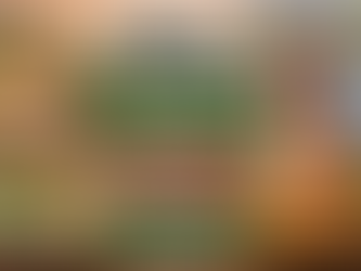 vegetarian restaurant in Singapore