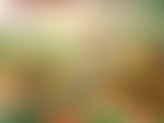 Vietnamese Vegetarian Restaurant in Singapore Near Yishun MRT