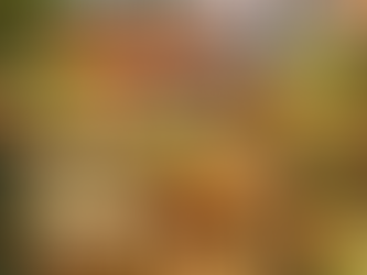 Best vegan and vegetarian food Singapore with plant-based dishes and Vietnamese cuisine