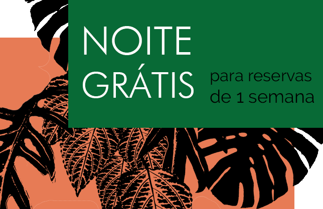 noitegratis_julho.19.gif