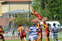 13445672_1231191780224607_4611535803540882920_n