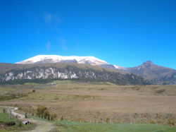 NEVADO