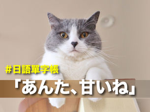 「あんた、甘いね」的「甘い」意思是甚麼?