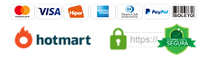 compra-segura-hotmart-w1000.png