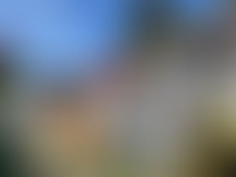 April 2026 - A Community Rallies to Help a Mother Stay in her Home