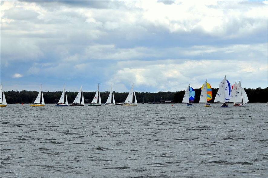 DSC_1648e_2074743037.jfif