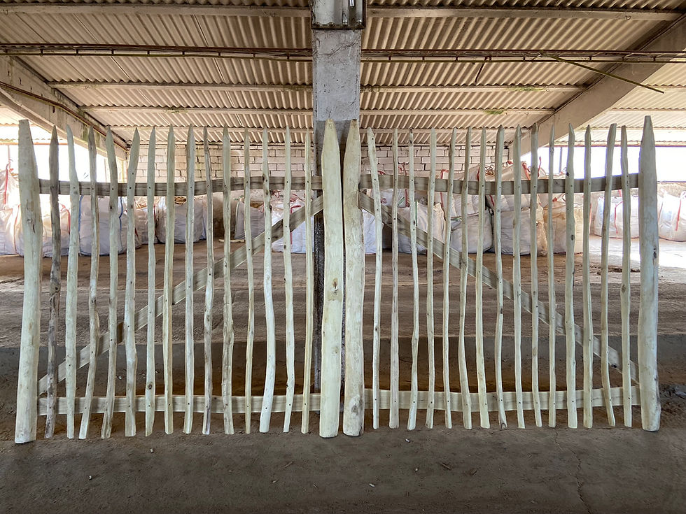 Miniatură: auto gate on 2m