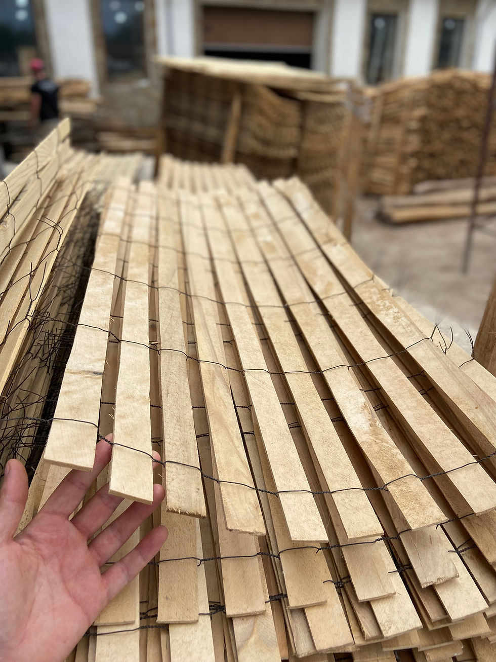 Miniatură: Shelter, tree protection