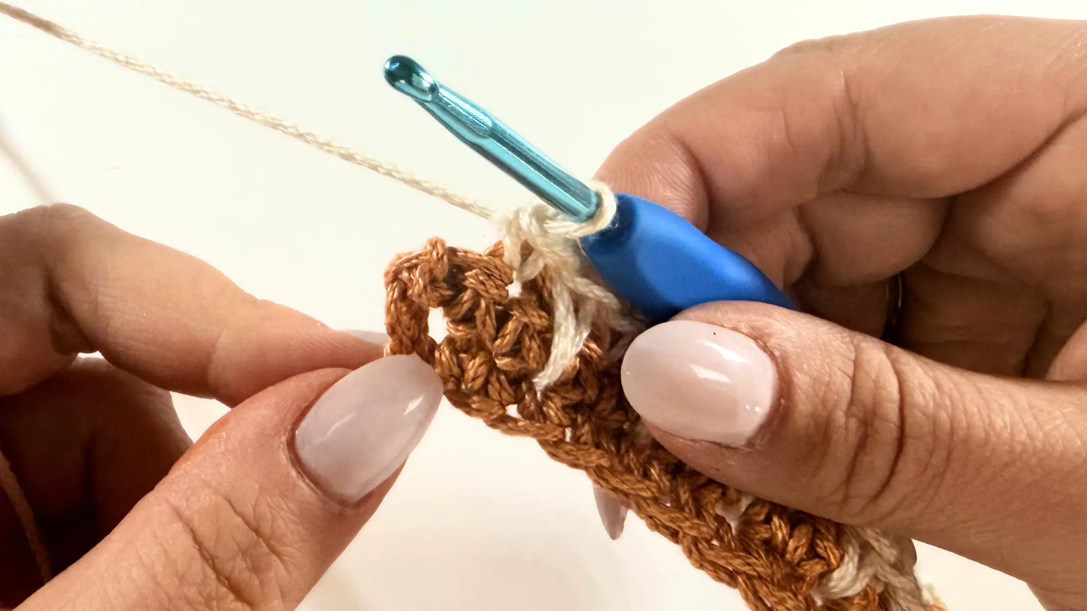 Close-up of the completed Spike Stitch.