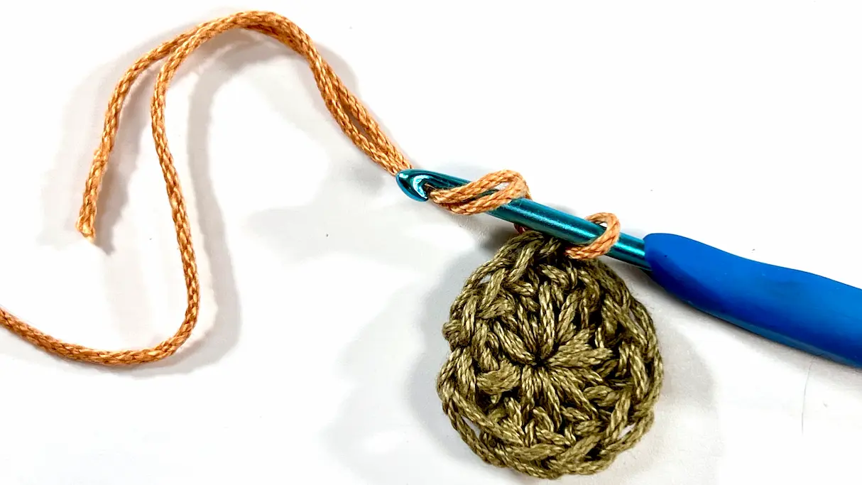 Close-up of a crochet hook beginning the second round on a Daisy Granny Square using a new yarn colour.