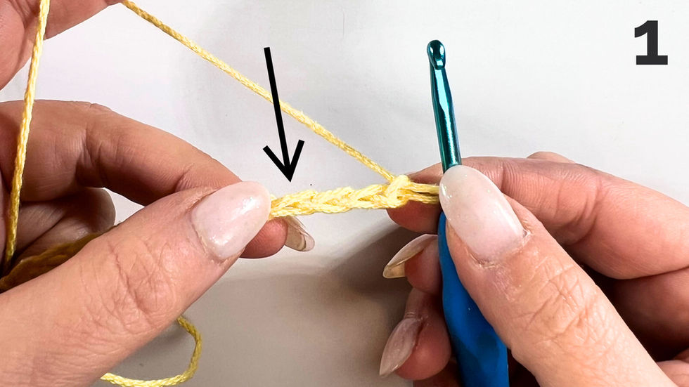 Step 1 How to Crochet Moss Stitch