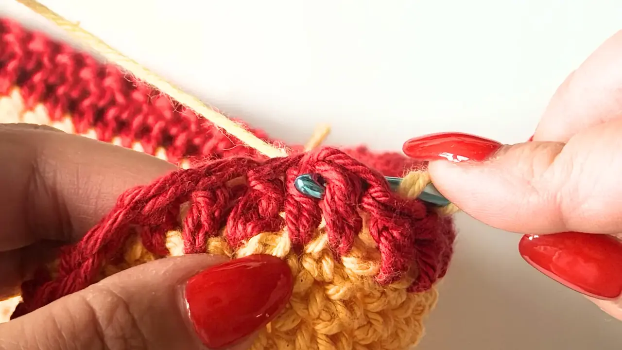 Insert your hook from the back around the post of the first stitch.