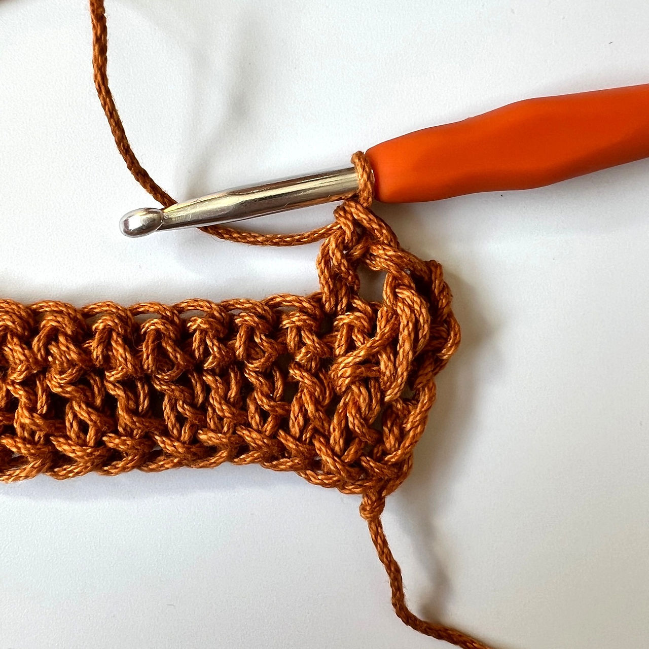Alpine Stitch Step 6
