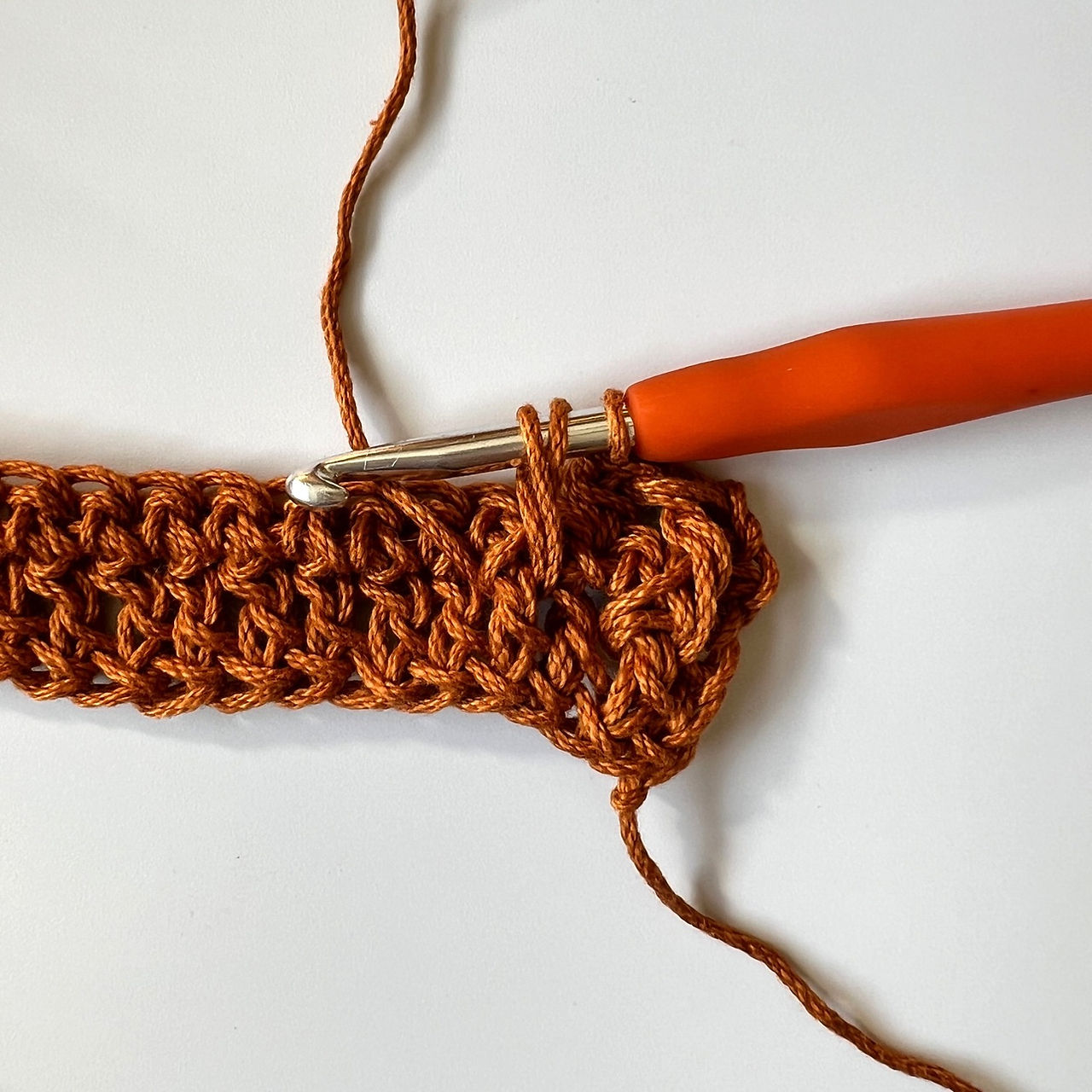 Alpine Stitch Step 7