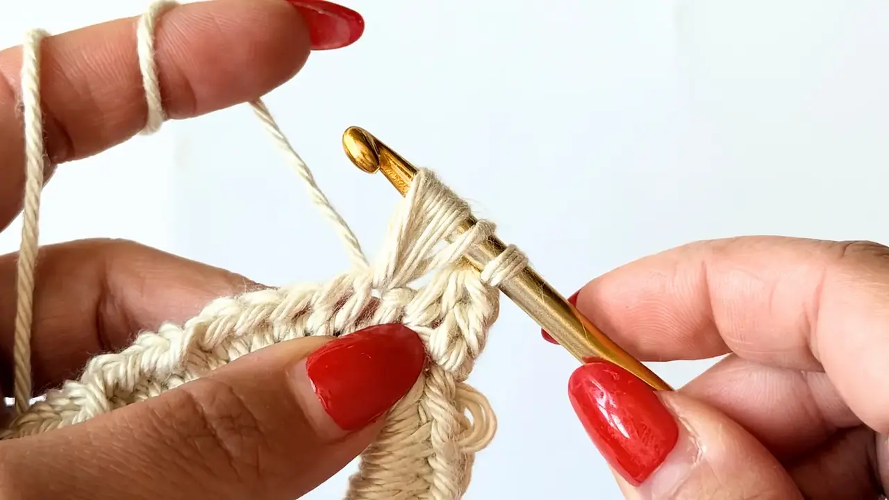 Pull up a loop, leaving the loops on the hook while working the puff stitch.