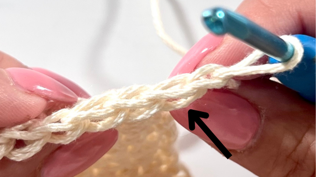 Close-up of a crochet hook pointing to the very front loop of the foundation chain, where the hook will be inserted to begin a Half Double Crochet stitch.