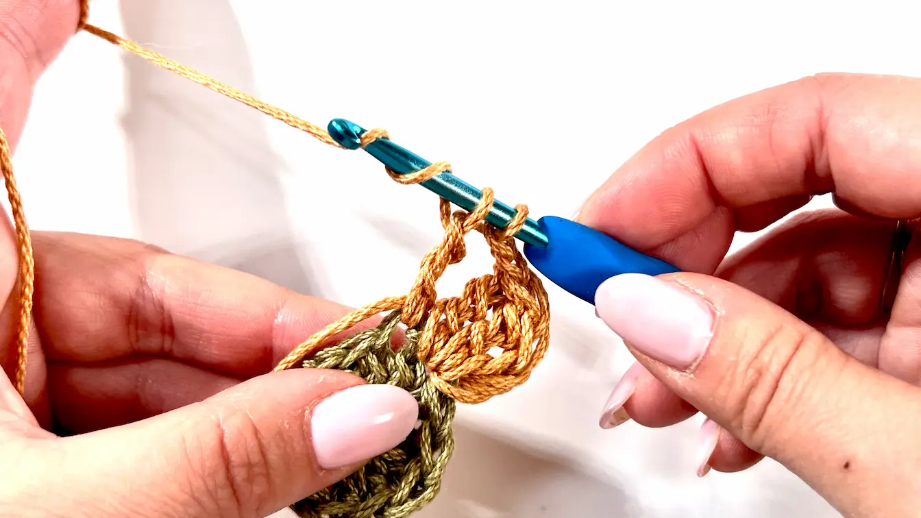 Adding a second petal to the Daisy Granny Square, showing a yarn over with two petals already formed.