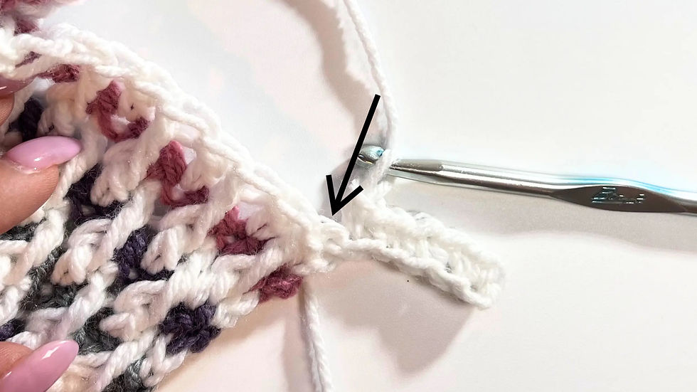 Inserting the crochet hook into the next stitch to work single crochet in back loop only for the ribbed border.