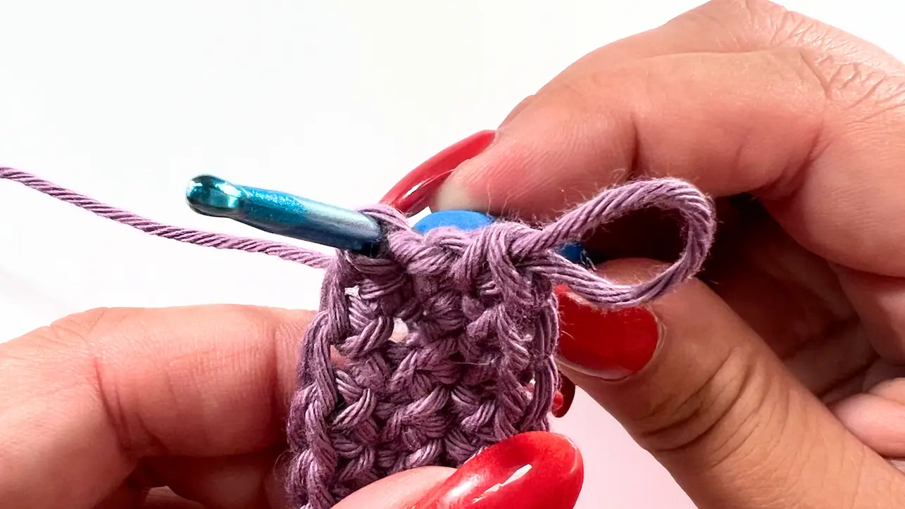 Crochet hook inserted into first stitch to begin invisible join in crochet.