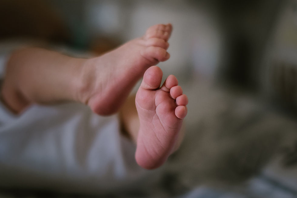 Lifestyle Newborn Session