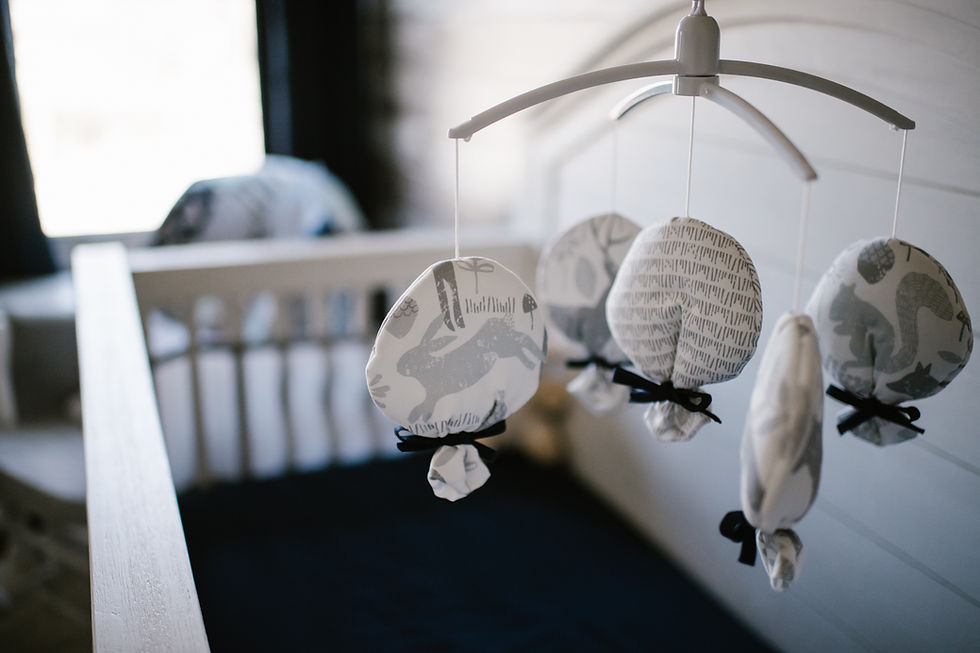 Lifestyle Newborn Session